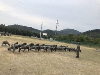 “激情熔煉團隊，凝聚成就夢醒”-誠立&邁思德2019年團建活動